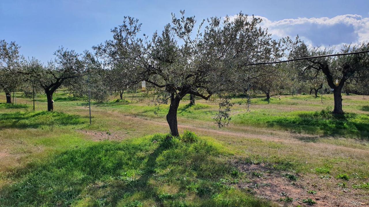 Agriturismo Corte Degli Ulivi Capoterra Luaran gambar