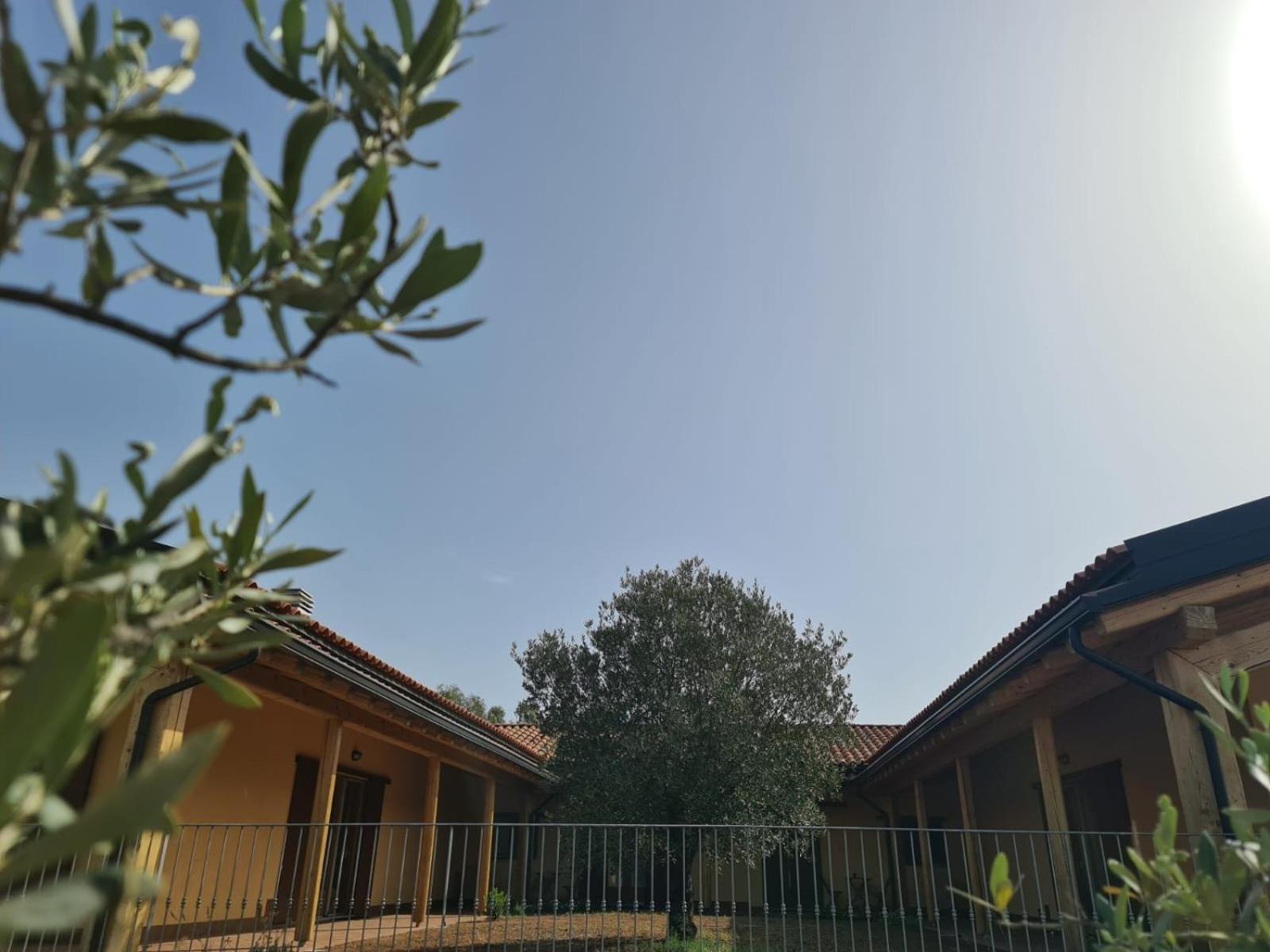 Agriturismo Corte Degli Ulivi Capoterra Luaran gambar