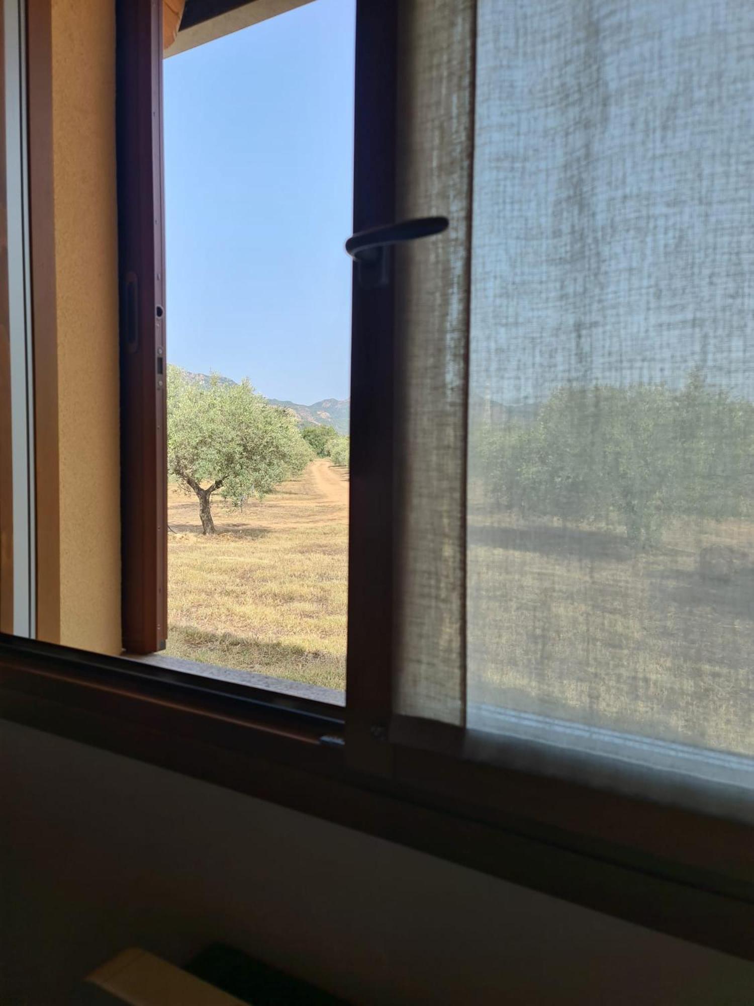 Agriturismo Corte Degli Ulivi Capoterra Luaran gambar