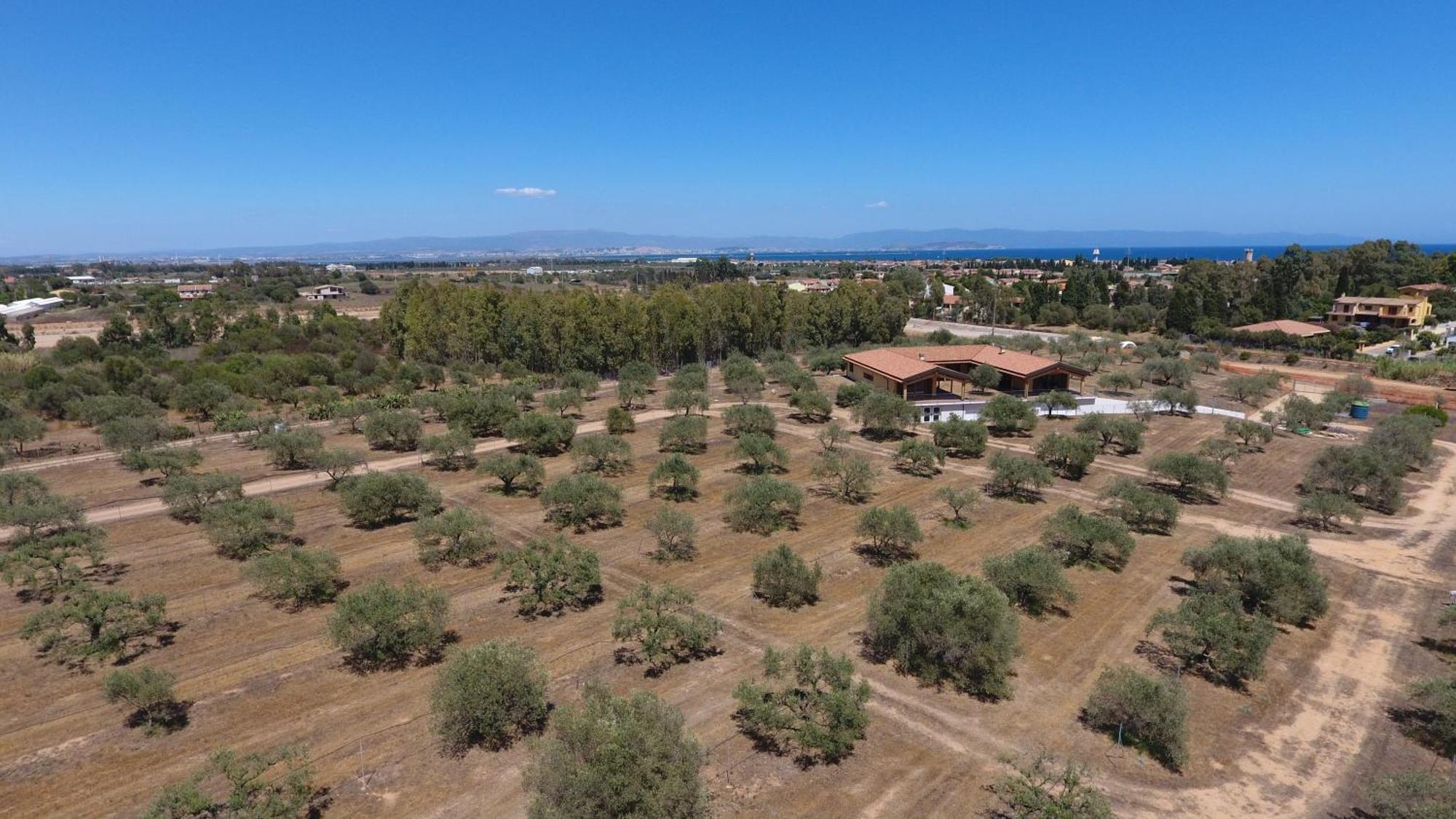 Agriturismo Corte Degli Ulivi Capoterra Luaran gambar